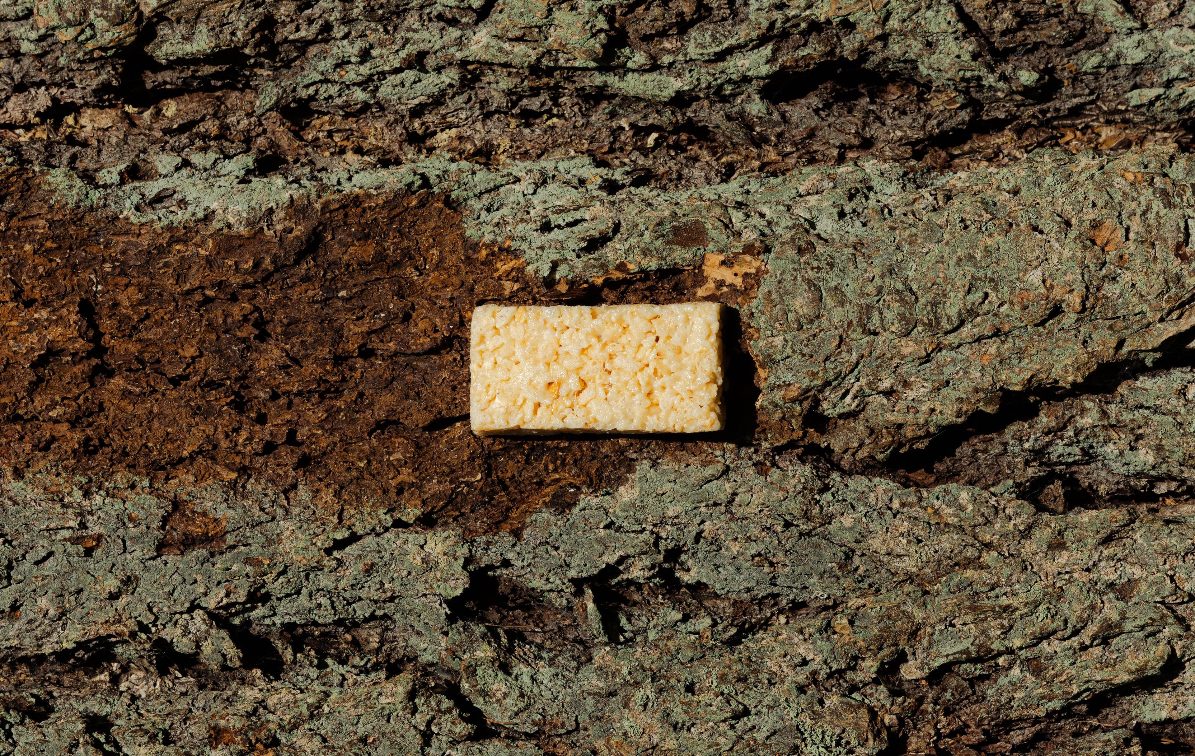 Bonk Bar product